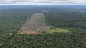 Operação Tamoiotatá 6: Segunda etapa é concluída com mais de R$ 32 milhões em multas por …