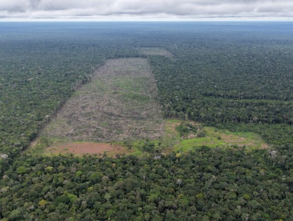 Operação Tamoiotatá 6: Segunda etapa é concluída com mais de R$ 32 milhões em multas por …