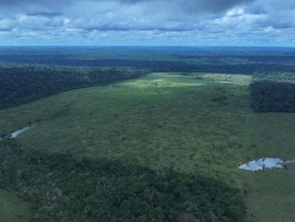 Operação Tamoiotatá 6 conclui  4ª etapa com mais de R$ 57 milhões em multa