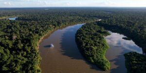 Amazonas reduz desmatamento em 14,6% em 2025, aponta relatório do MapBiomas