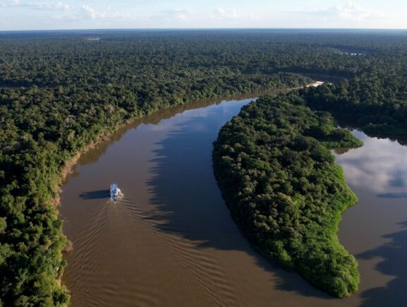 Amazonas reduz desmatamento em 14,6% em 2025, aponta relatório do MapBiomas
