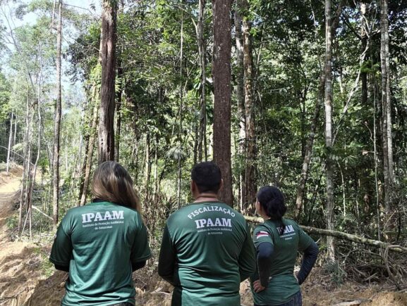 Ipaam encerra período de Defeso Florestal 2026 nesta sexta-feira em todo o estado