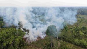 Ipaam multa proprietário de terreno em R$ 15 mil após flagrante de queimada no Careiro