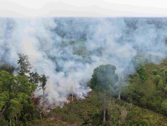 Ipaam multa proprietário de terreno em R$ 15 mil após flagrante de queimada no Careiro